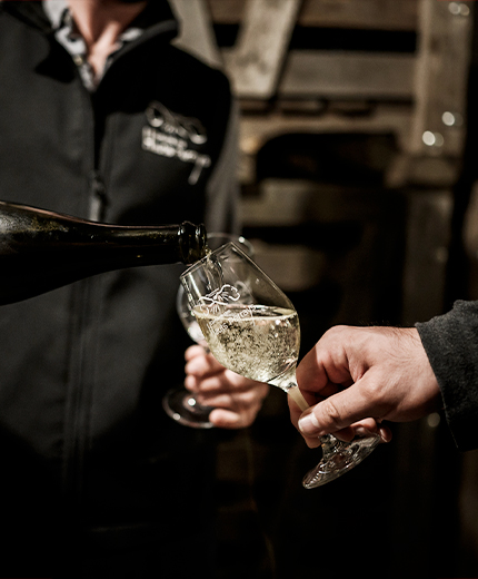 Dégustation de vin à Angers et en Maine-et-Loire