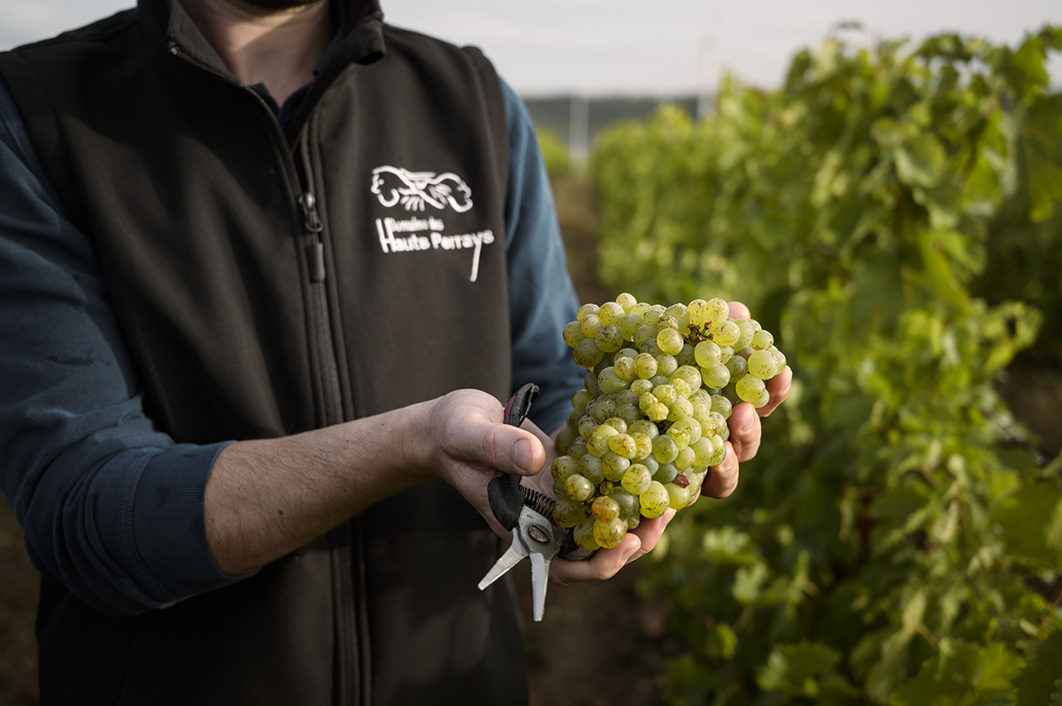 Dégustation de vin en Maine-et-Loire